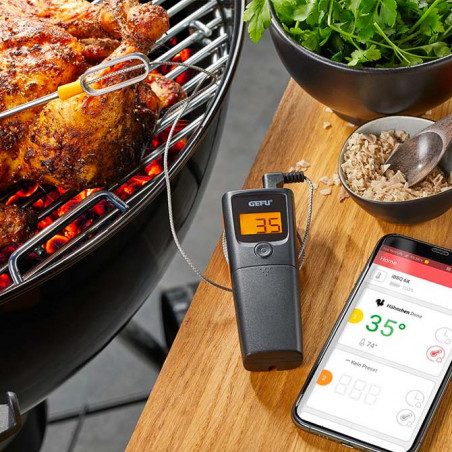 Grillthermometer und Grillthermometer Gefu