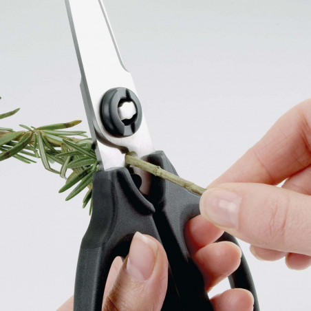 Tijeras para hierbas y multiusos OXO