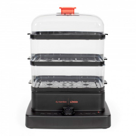 Vaporera eléctrica Livoo