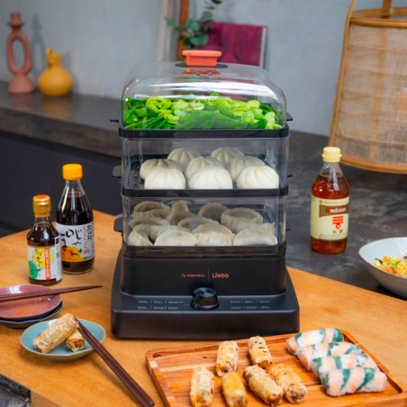 cocinando con Vaporera eléctrica Livoo