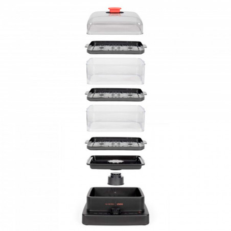 Despiece Vaporera eléctrica Livoo