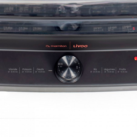 Detalle mandos de la Vaporera eléctrica Livoo