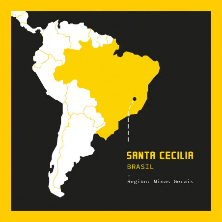 Orígen Brasil: Santa Cecilia Café de Finca