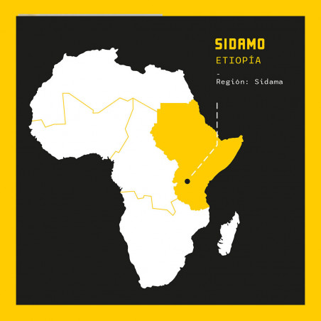 Ubicación finca Sidamo Café de Finca Ubicación finca Sidamo Café de Finca