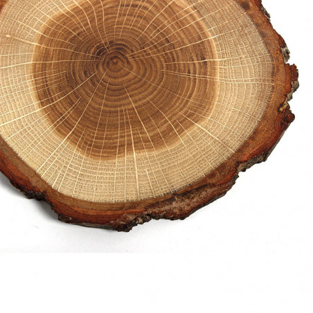 Lot de 4 sous-verres en bois de chêne Rio lindo