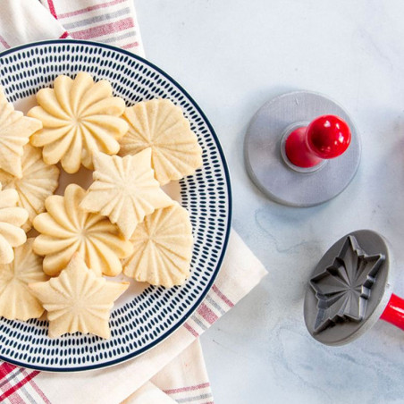 Mooie geplooide koekjesstempels Nordic Ware