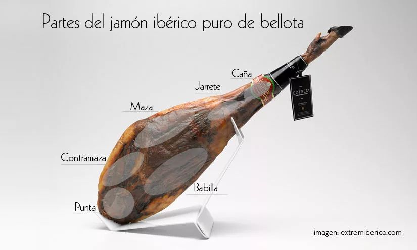 Partes del jamon