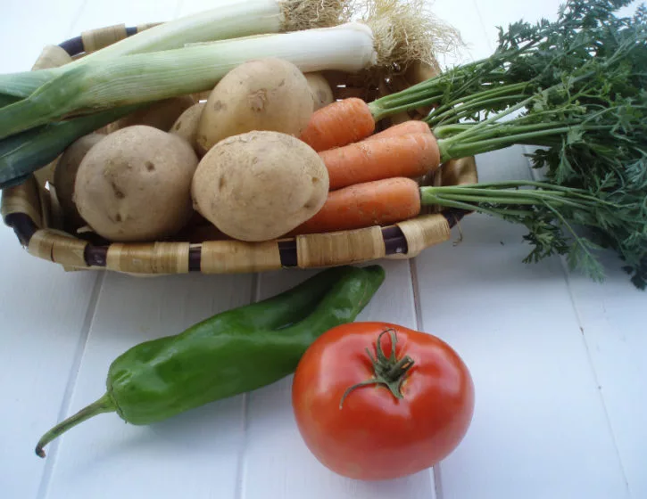 crema verduras olla a presion