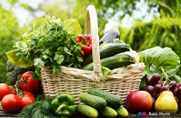 Cuchillos para verduras o vegetales - Lecuiners