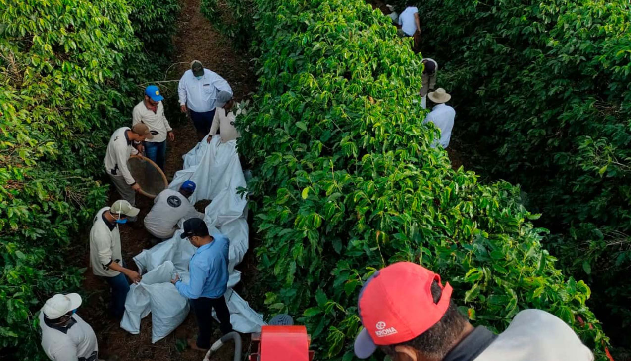 Finca Santa Cecilia en Brasil